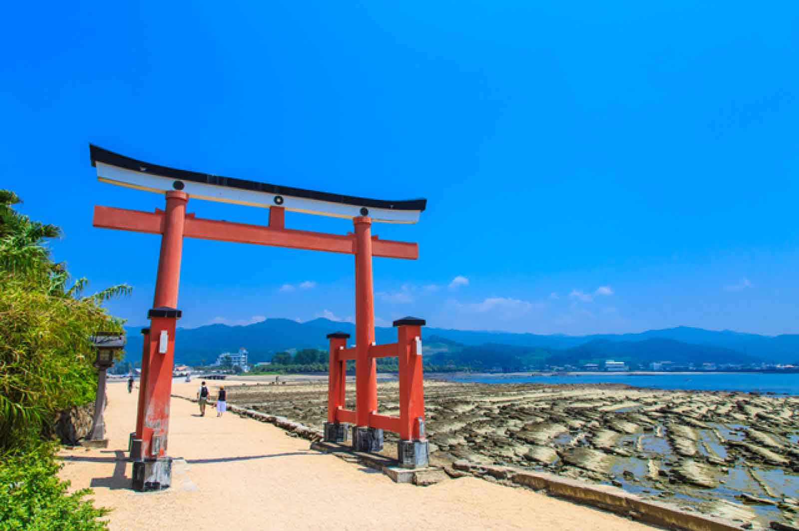 青島＆青島神社