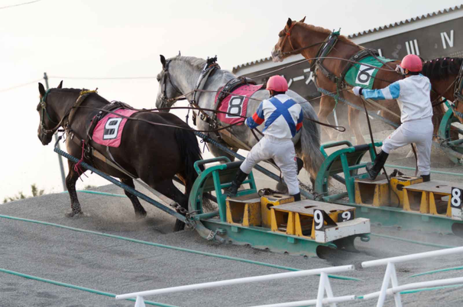 帯広競馬場・ばんえい十勝