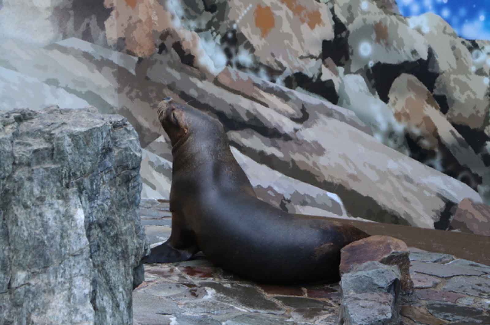 江戸川区自然動物園