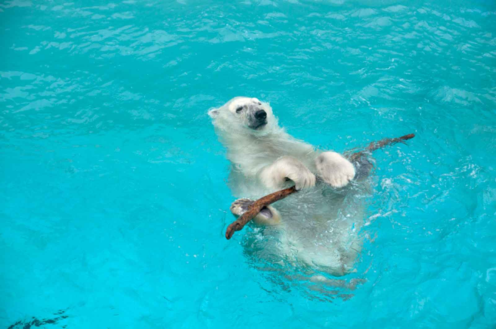 男鹿水族館GAO