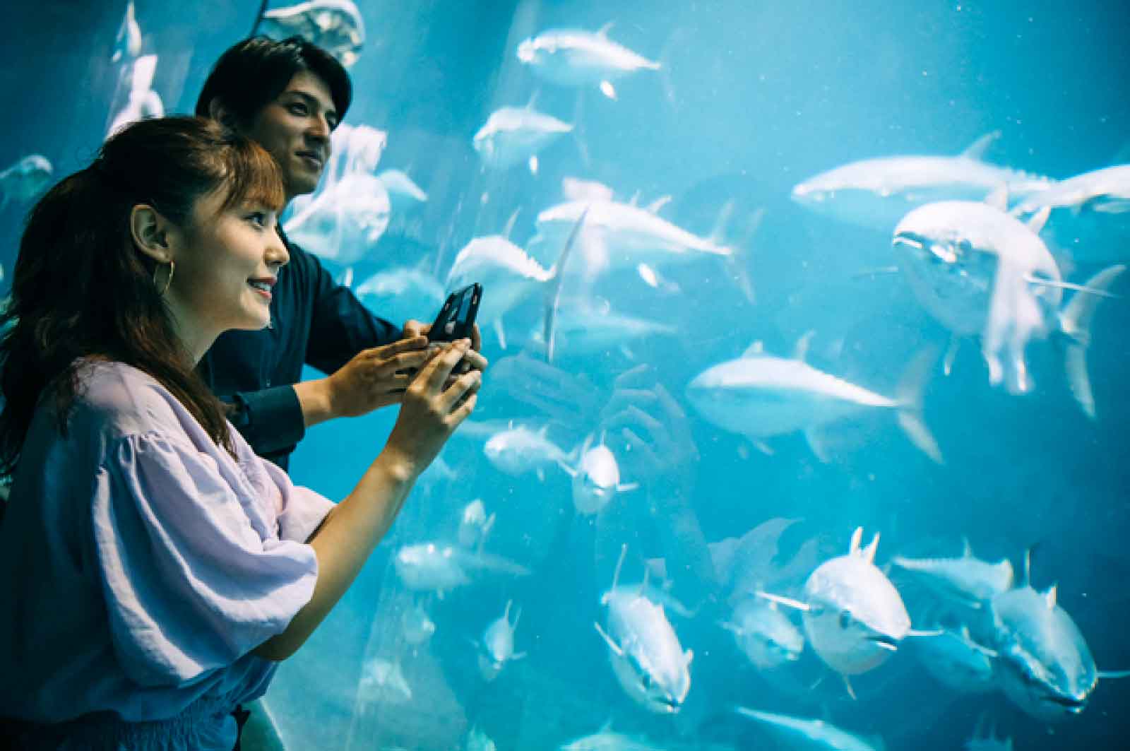 姫路市立水族館