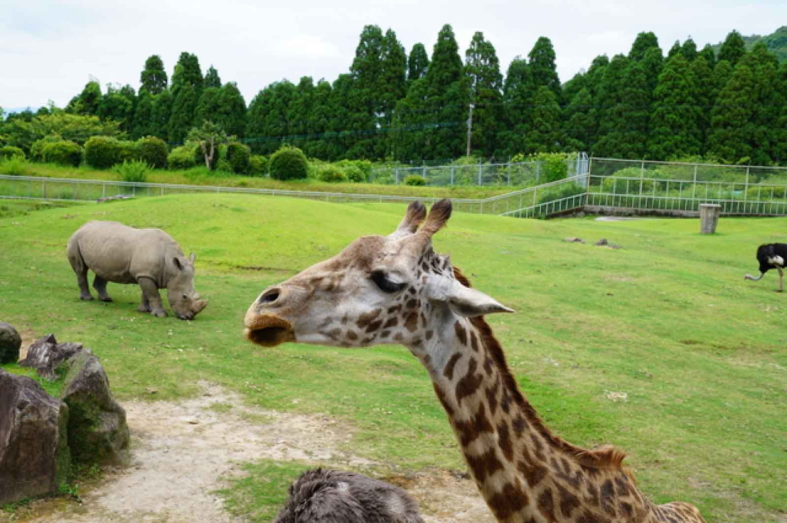 平川動物公園