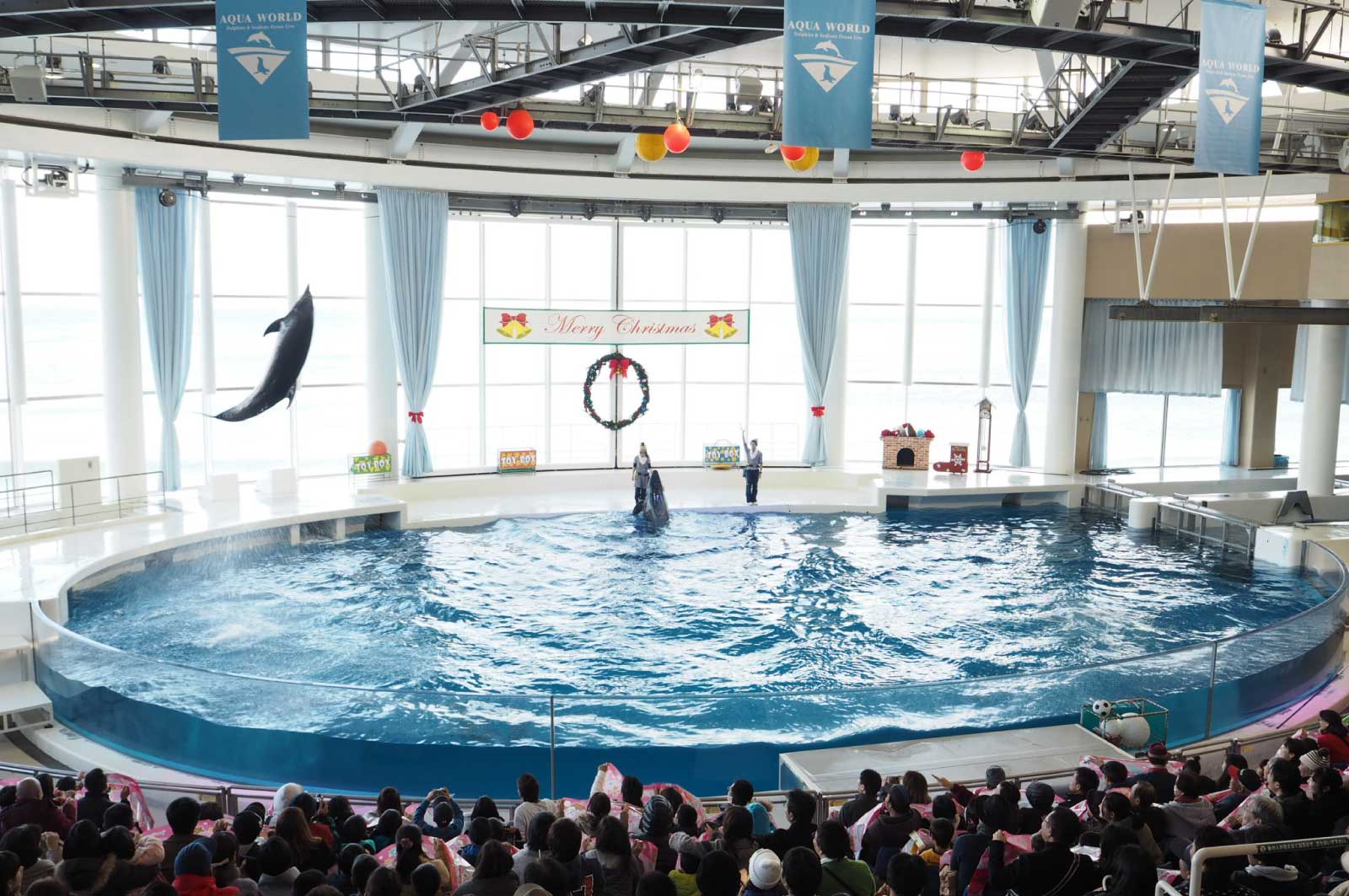 アクアワールド茨城県大洗水族館