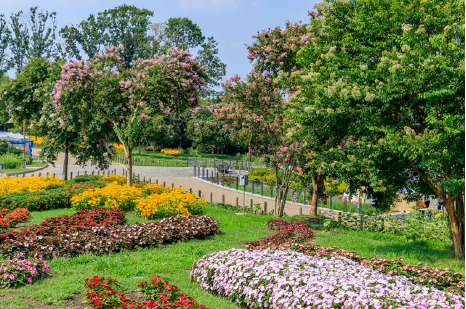 久留米百年公園