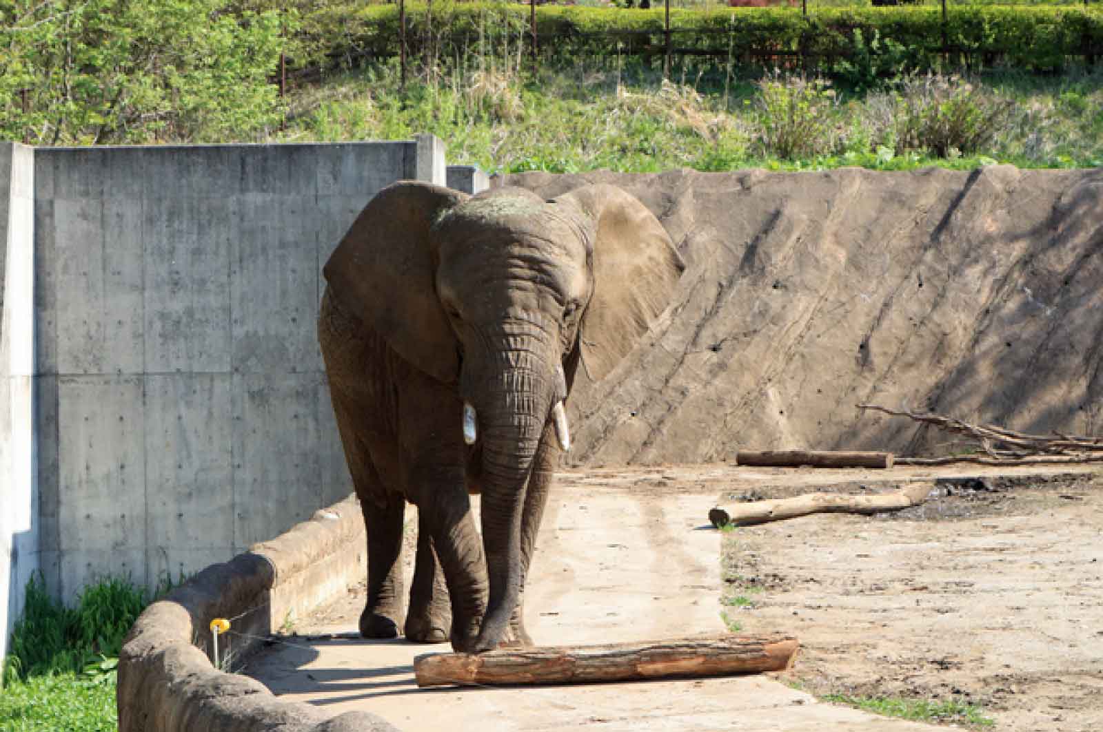 盛岡市動物公園