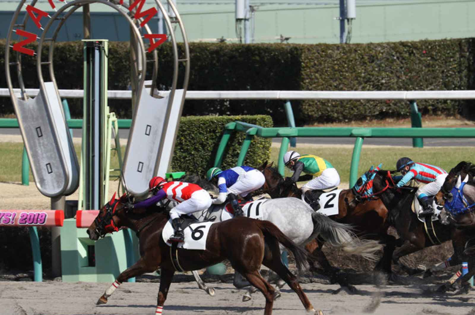 中山競馬場