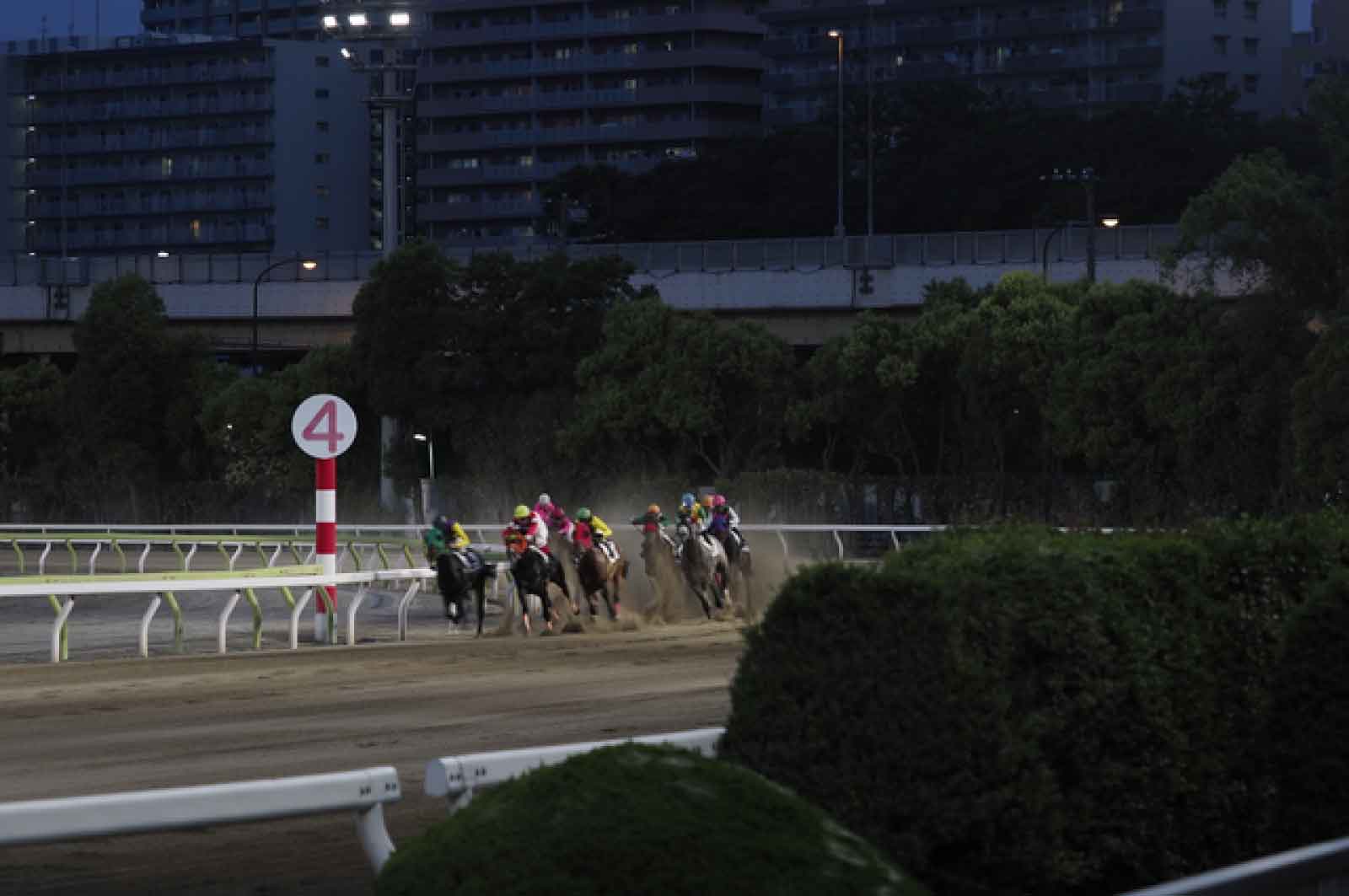 大井競馬場