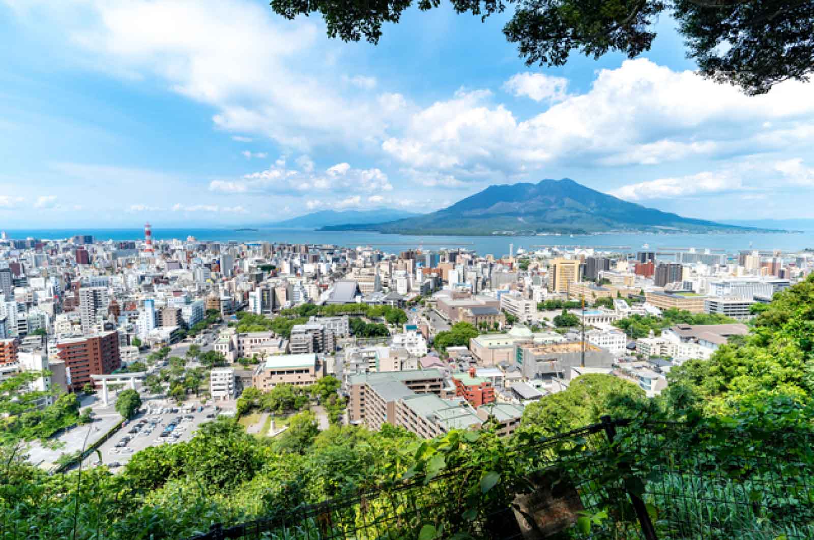 桜島（城山展望所）