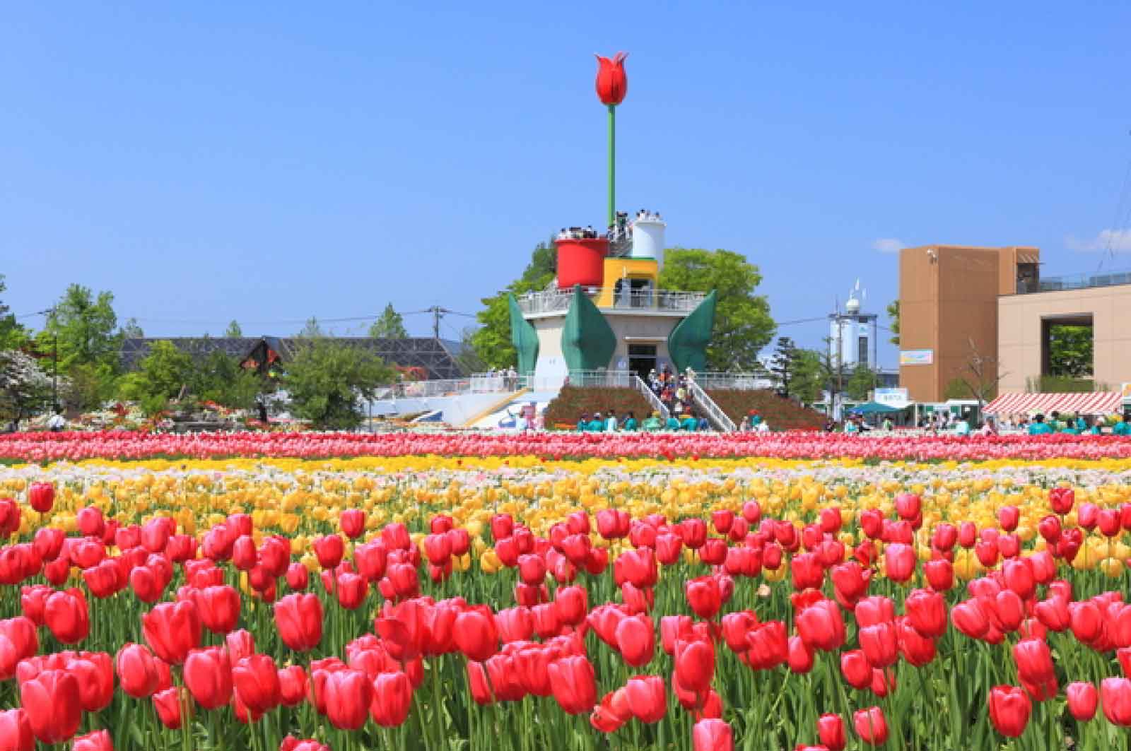 砺波チューリップ公園