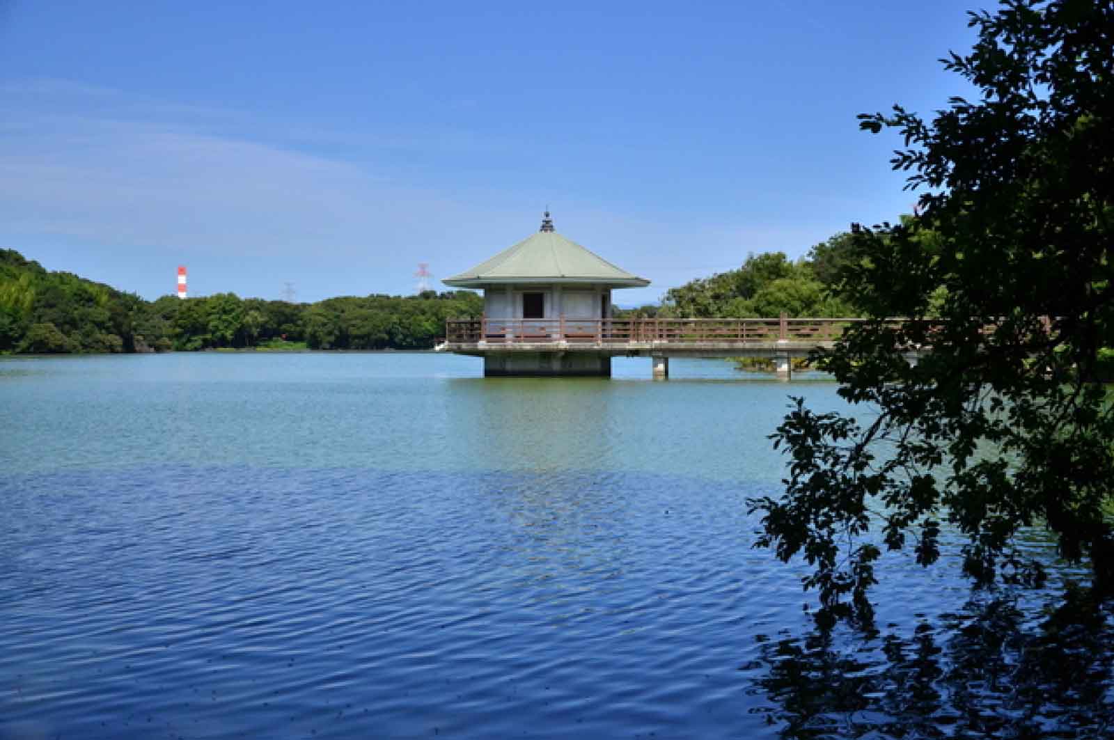 山田池公園