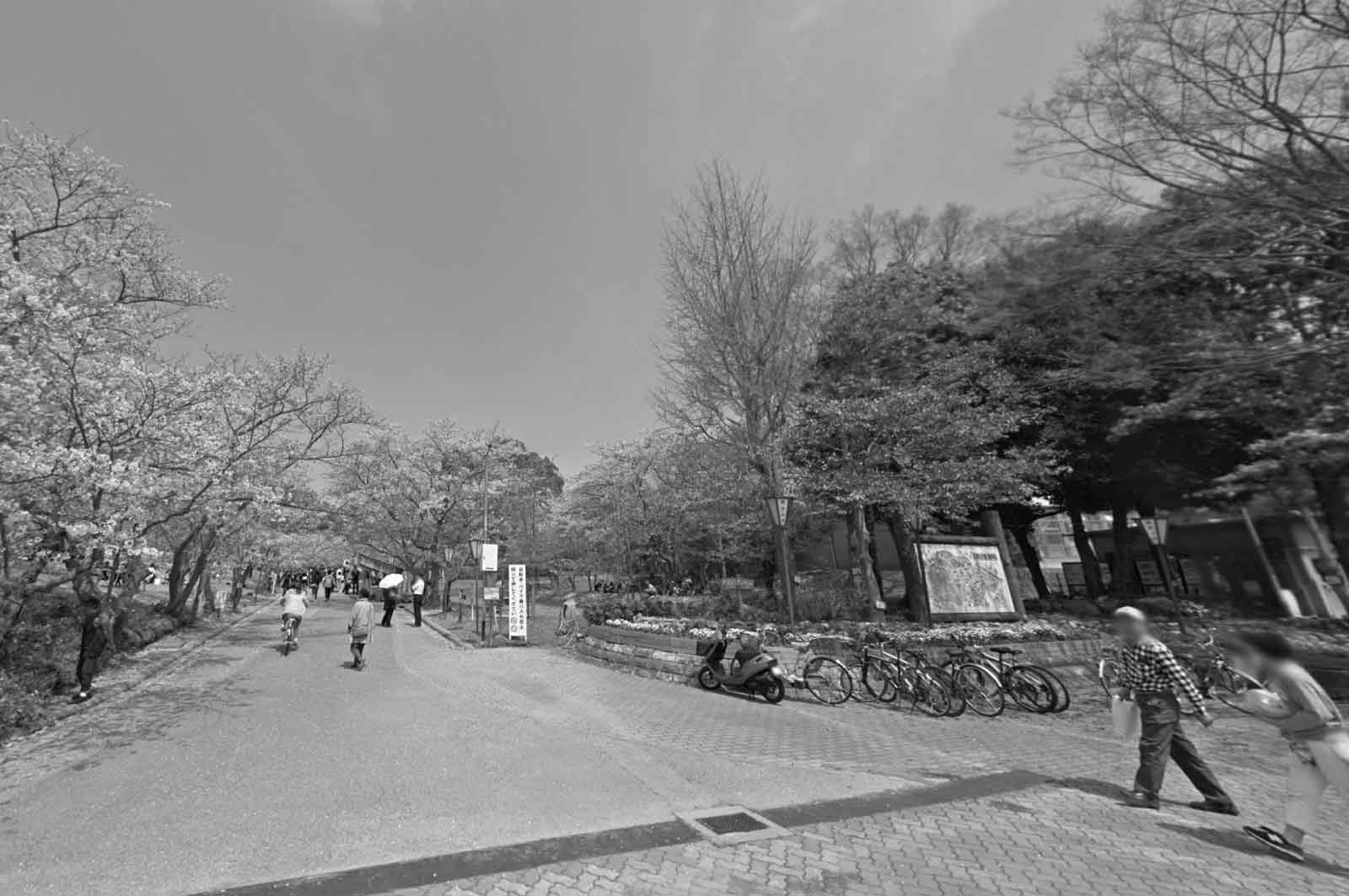 日岡山公園（加古川市）