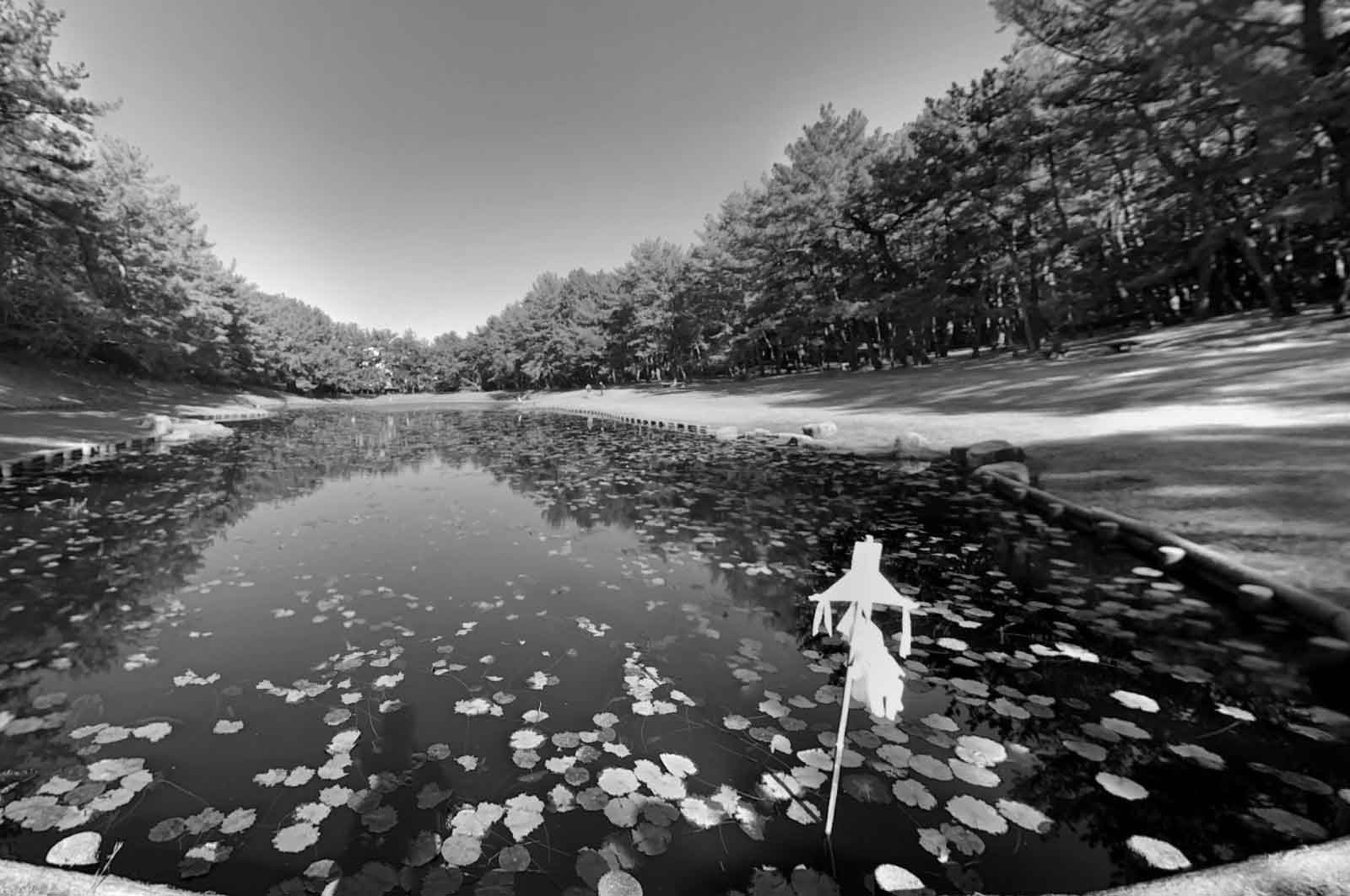 阿波岐原森林公園 市民の森